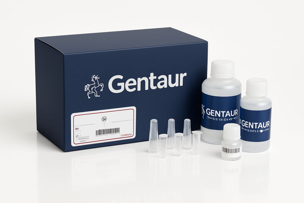  cfDNA Extraction Kit